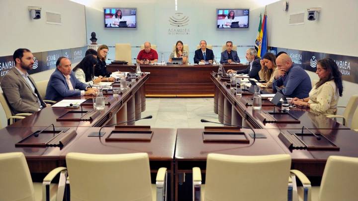 El PP y Vox ultiman con reproches el pacto para aprobar la ley de concordia en Extremadura