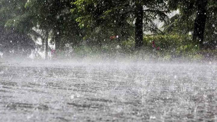 Telangana to see rain, gusty winds for next five days
