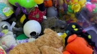A Child’s Arcade Game In Pennsylvania Turns Into A Wildlife Rescue