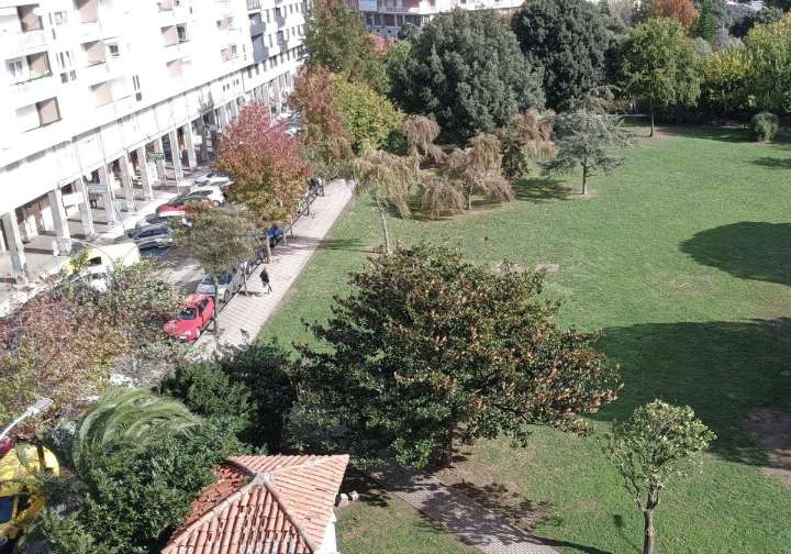 Laredo modifica el proyecto sobre la Alameda y tan solo sacrificará ocho árboles de los 88 previstos