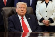 'He and Stephen Miller believe': Terrifying theory on Trump's end game shared by insider