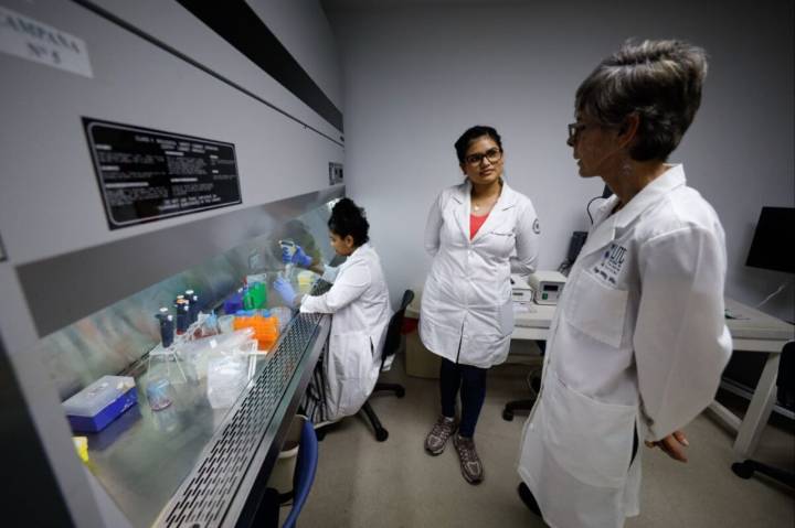 Venezuela lidera medicina regenerativa en Latinoamérica