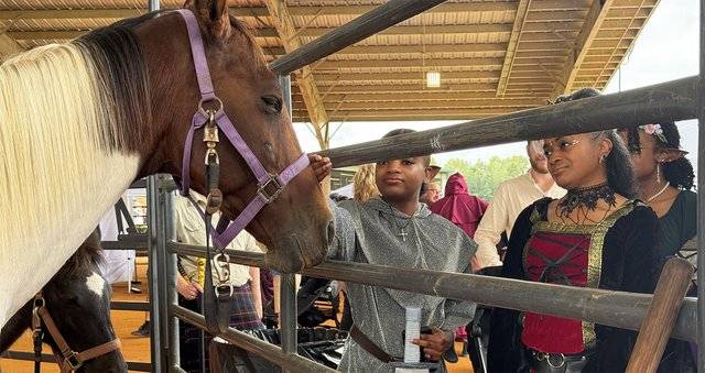 Return to the Middle Ages at the Statesboro Renaissance Faire