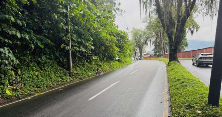 Vía entre Pereira y corregimiento turístico estará cerrada por tala de árbol hoy 29 de octubre