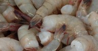 Higgins wants all shrimp imports stopped
