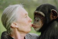 Murió Jane Goodall, reconocida primatóloga, a los 91 años