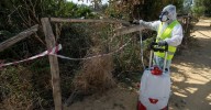 Sanidad declara en alerta al pueblo de Guadalcázar por la presencia de mosquitos portadores del Virus del Nilo