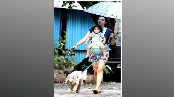 Chandigarh notifies strict pet dog bye-laws; fines up to Rs 10,000 for violations