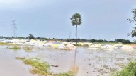 Paddy centres turn into lakes after unseasonal rains pound Nalgonda