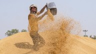 Cabinet hikes wheat MSP by ₹160 per quintal to ₹2,585