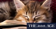 Book review: Great Cats and the Writers Who Owned Them by Susannah Fullerton