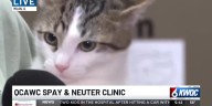 Drive-up pet clinic keeps QC pets healthy without breaking the bank