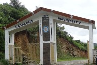 Nagaland University researchers identify plant compound to heal diabetic wounds