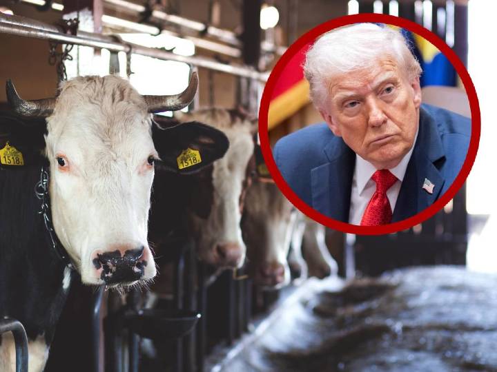 Aranceles le rebotan a EU y Trump pide bajar precio de la carne