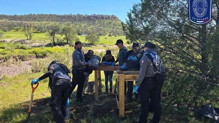 Se reserva INEGI información sobre el encuestador desaparecido en Urique