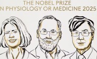 El Nobel de Medicina fue otorgado a Brunkow, Ramsdell y Sakaguchi