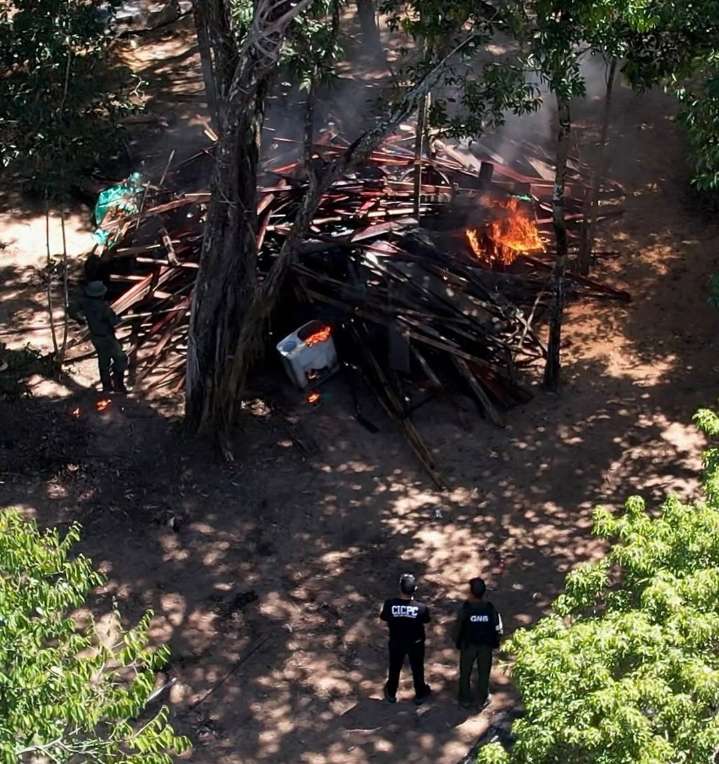 Desmantelan campamento de narcotráfico en Amazonas
