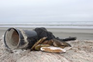 Field notes: First days of coastal razor clam dig season begin Oct. 6