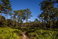 Central Florida: 15 hiking trails to explore this fall