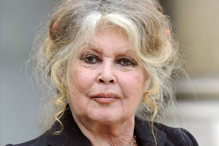 Tiene 91 años. Qué se sabe de la salud de Brigitte Bardot: está internada y hay preocupación