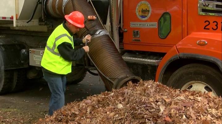 City of Toledo leaf collection begins Nov. 3: See the schedule for when crews will be in your neighborhood