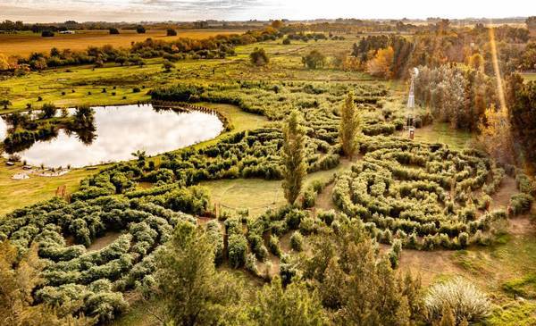 Perfecto para una escapada de verano: el laberinto que se encuentra a 90 minutos de CABA