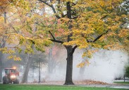 Pittsburgh weather: Western Pa. under frost advisories, freeze warnings