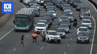 Family of ducks crossing Perth's Kwinana Freeway cause six