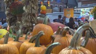 'Greatest free show on Earth': The Circleville Pumpkin Show returns for 118th year