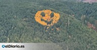 El bosque que sonríe: un rostro de 90 metros que emerge entre los pinos cada otoño en Oregón