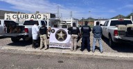 Rescata AMIC 30 caninos de centro de adiestramiento en Hermosillo por posible maltrato animal