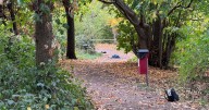 Third Catford stabbing in five days sees teenage boy rushed to hospital