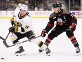 Sarnia Sting's comeback falls short against Niagara IceDogs | Grande Prairie Daily Herald Tribune