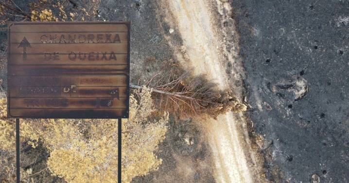 La Xunta habilita ayudas para alojamientos turísticos afectados por los incendios del verano: cómo solicitarlas