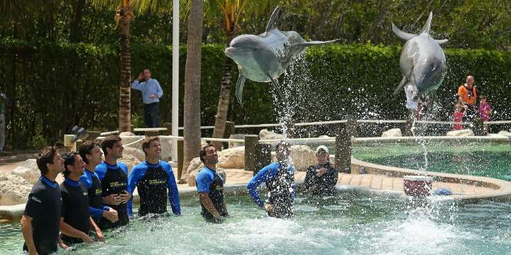 The iconic Miami Seaquarium shuts down after dark legacy of animal abuse and crumbling conditions