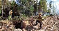Lake George wildfire: Firefighters fight blaze in Kings County, N.S.