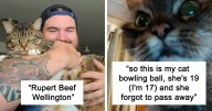 38 Of The Most Bonkers Pet Names, As Shared By Their Owners In This Now