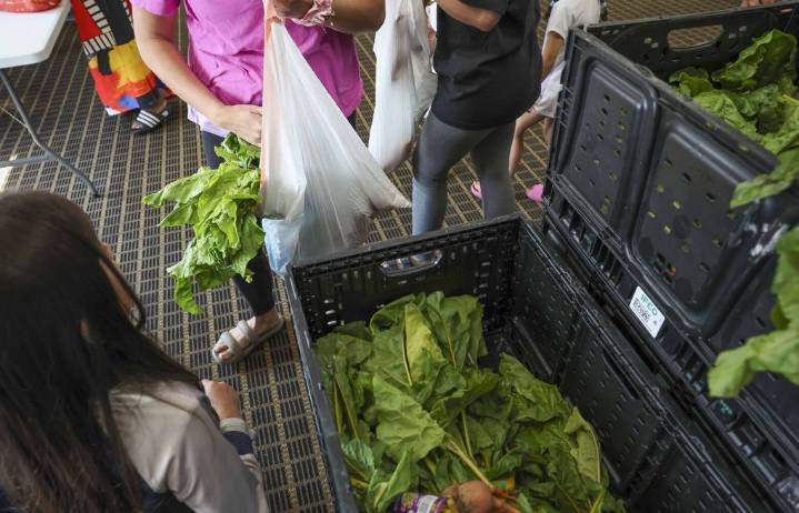 How Seattleites can help people losing their SNAP benefits