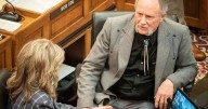 Legislative committee advances bill banning explicit content from children's sections of libraries