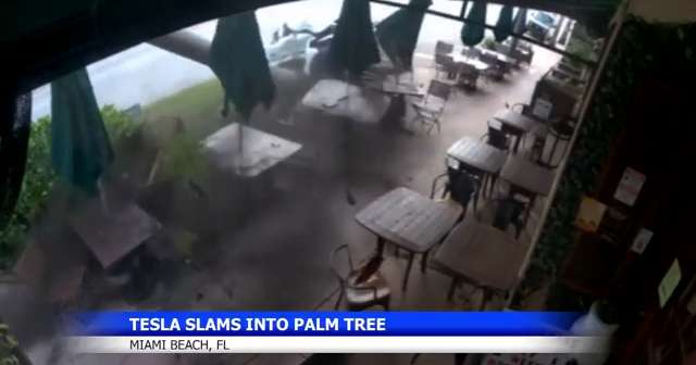Tesla crashes into palm tree outside Miami Beach restaurant