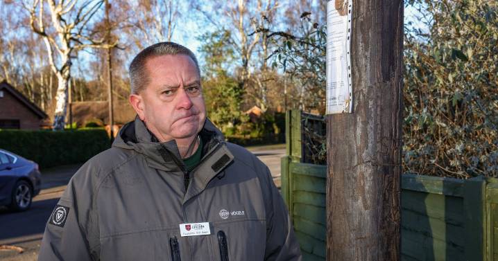 Full list of Lincoln streets in line for new controversial telegraph poles