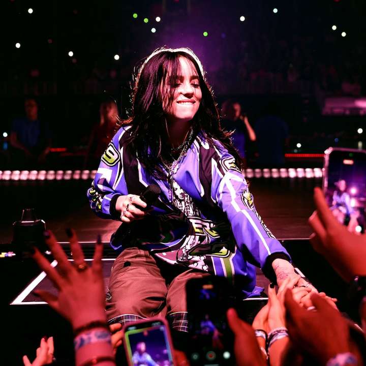 Billie Eilish Pulled by Fan at Miami Concert 