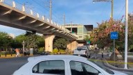 Abejas Atacan a Usuarios de la Línea 3 del Tren Ligero en Zapopan; Esto fue lo que Ocurrió