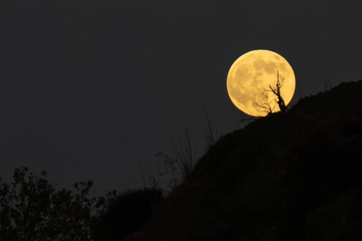 De las lunas, la de octubre es la más hermosa sobre el cielo nocturno de Tijuana