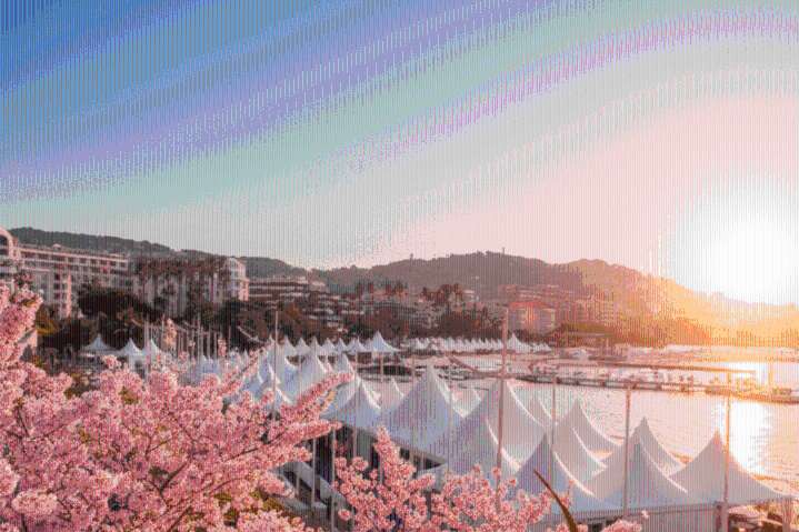 Japan Set As 2026 Country Of Honor At Cannes Marché Du Film