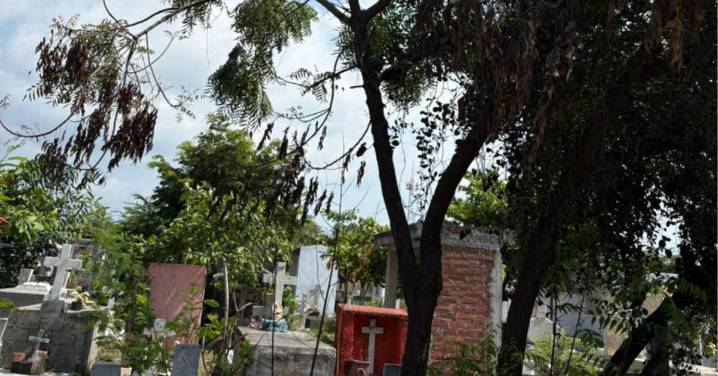 Refuerza PC Tecomán medidas por enjambres y tumbas abiertas en panteones