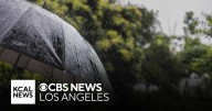 How a warming atmosphere is leading to heavier rainfall