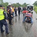 Mueren arrollados dos hombres en la carretera Panamericana, El Vigía