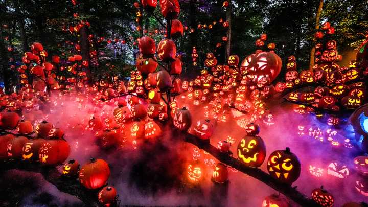 See pumpkin designs from Jack O'Lantern Spectacular 2025