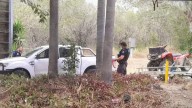 Farmer gives chase after gun pulled in Scenic Rim quad bike theft